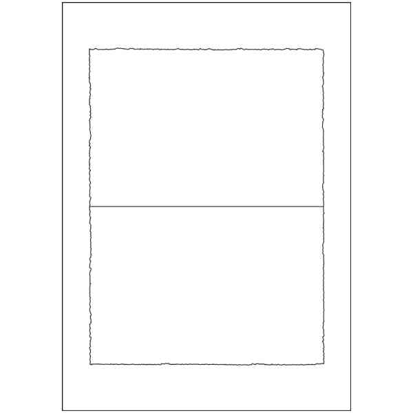 Double Cards cm.17X23 A4 Box x100 - BSP 206LW
