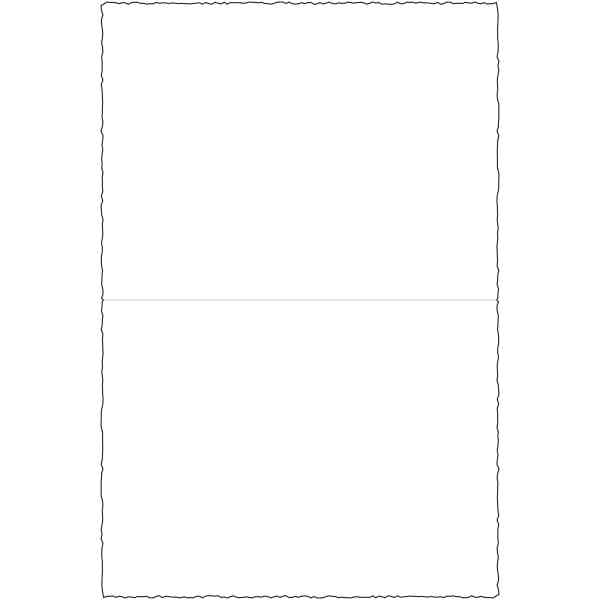 Double Cards flat cm.20X30 (x100) - BSW 207L