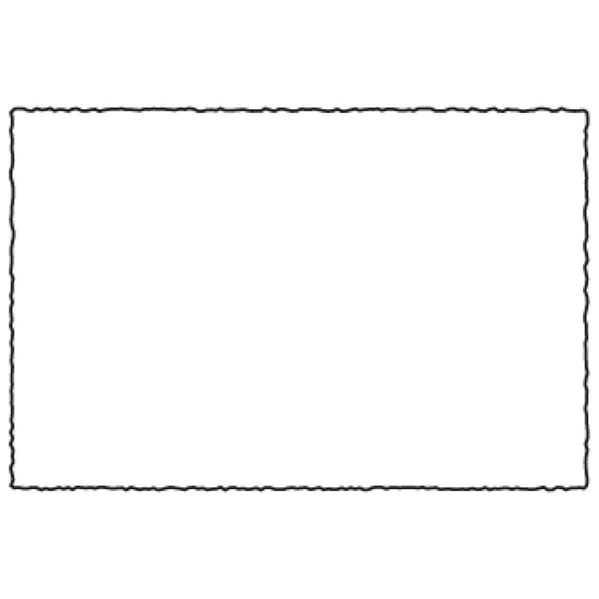 Single Cards cm.6,3x9,5 (x100) - BSW 209S