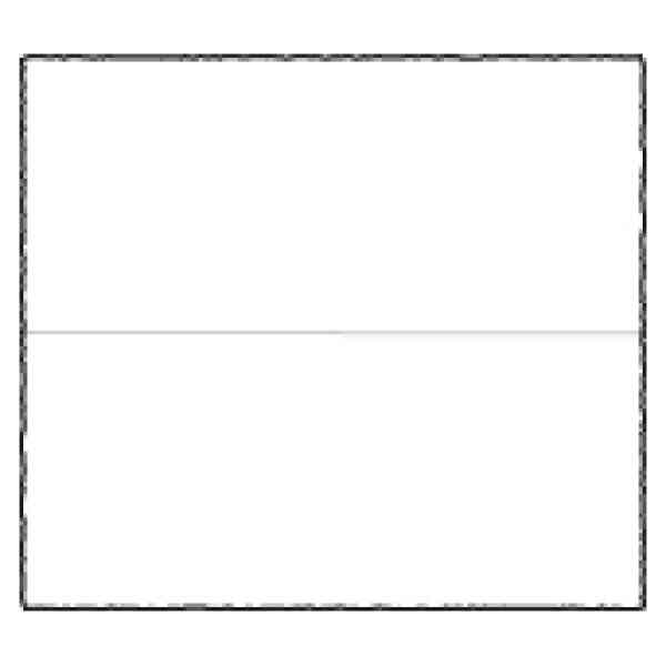 Place Cards cm.9,5x8,5 (x100) - BSW 210L