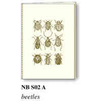 Nbs02a