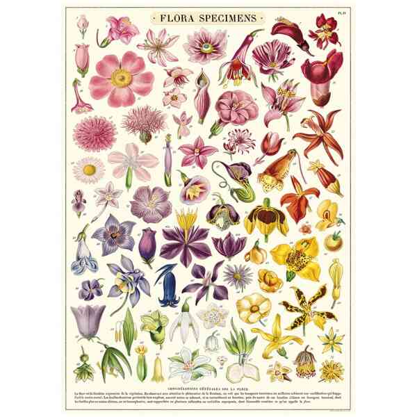 Flora Specimens Wrap - Poster