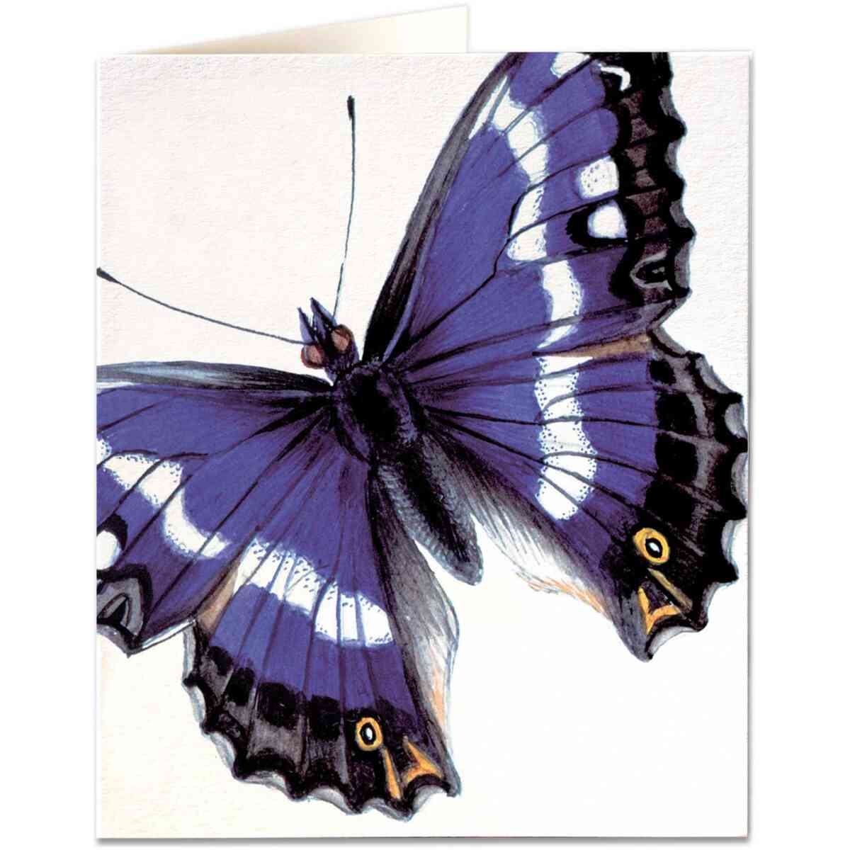 Purple Emperor