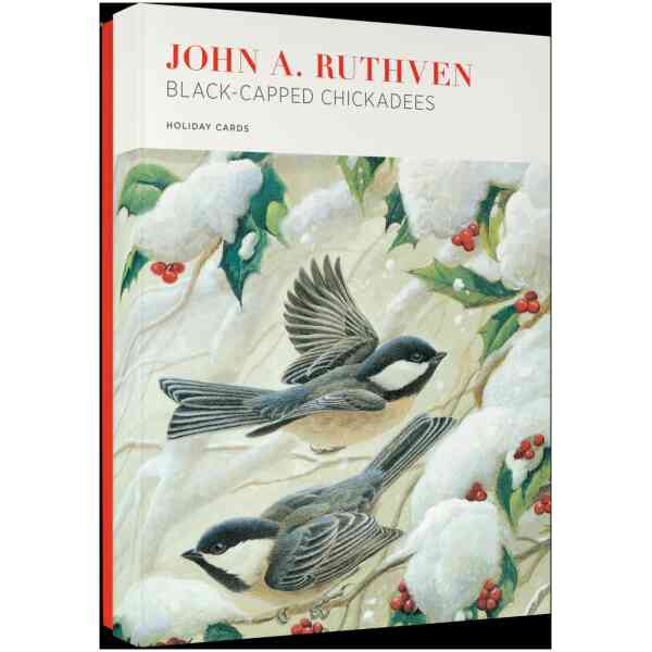 John Ruthven: Black Capped Chickadees Holiday Cards