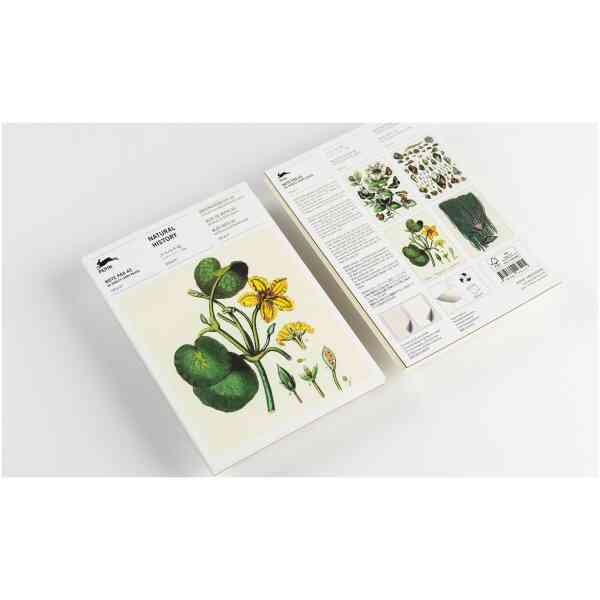 Natural History – A5 Writing Paper & Note Pads