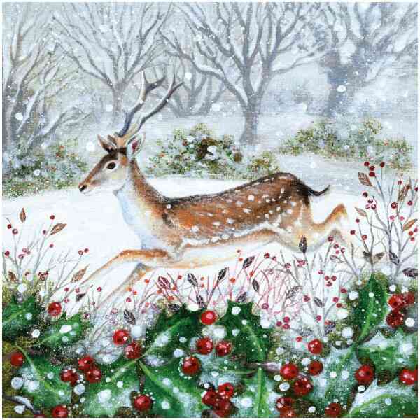 Holly and Deer