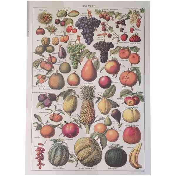 Fruits - Poster