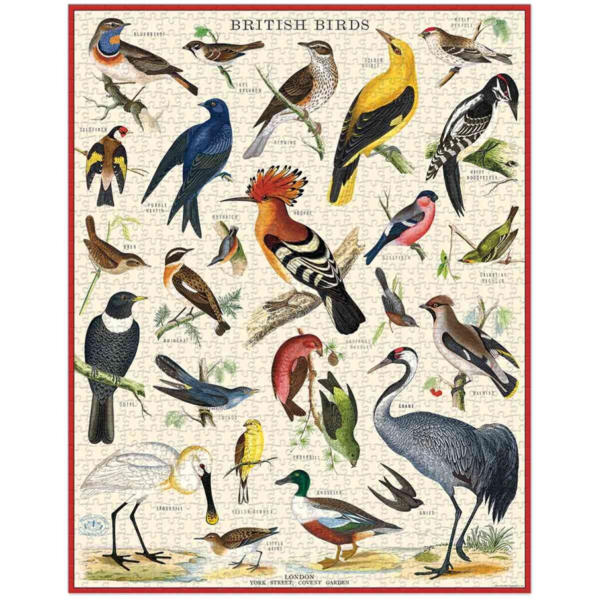 Cavallini & Co. British Birds 1000 Piece Puzzle - Bild 2