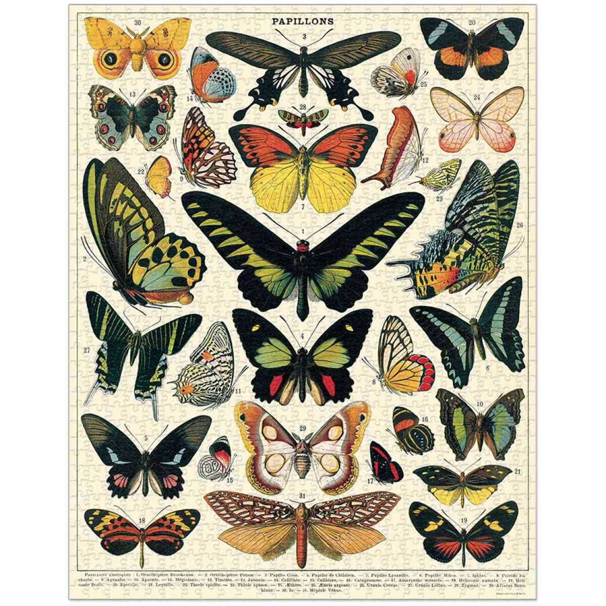 Cavallini & Co. Butterflies 1000 bitar pussel - Bild 2