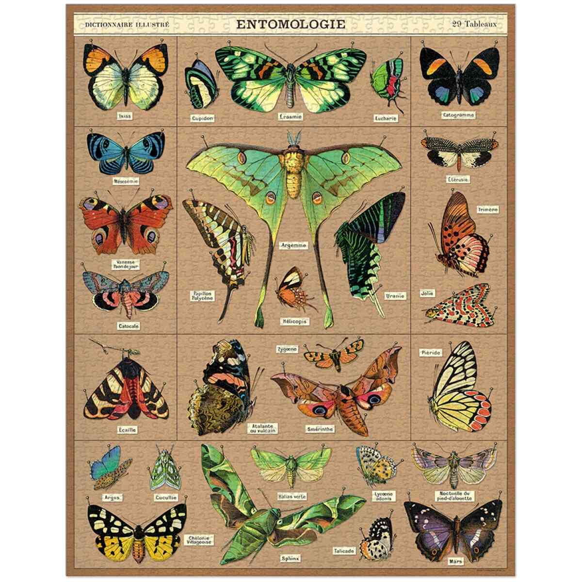 Cavallini & Co. Entomology 1000 Piece Puzzle - Bild 2