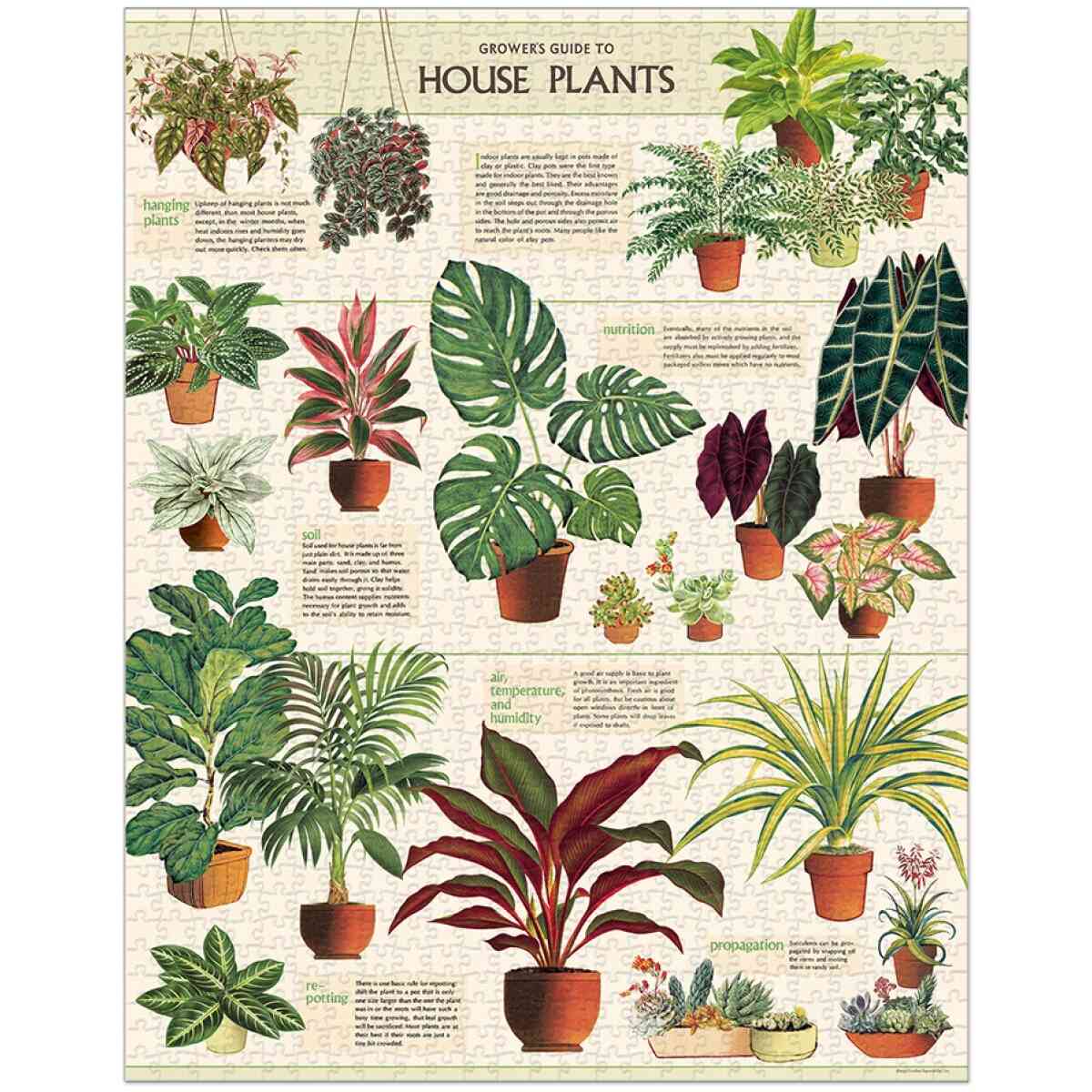 Cavallini & Co. House Plants 1000 bitar pussel - Bild 2