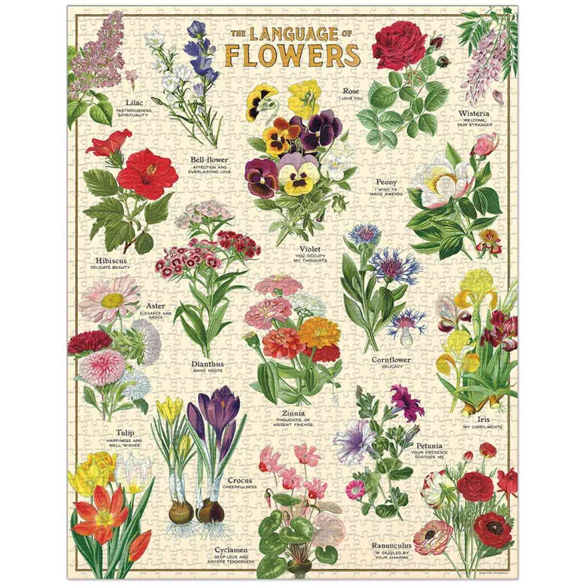 Cavallini & Co. Language of Flowers 1000 Piece Puzzle - Bild 2