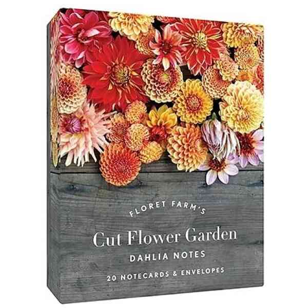 Dahlia Notes, 20 Notecards