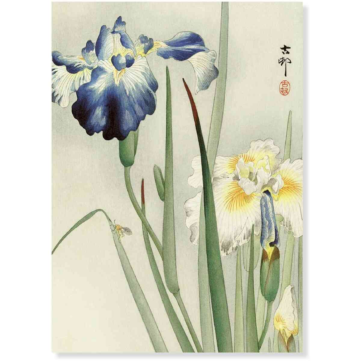 Irises, Ohara Koson, Greeting Card