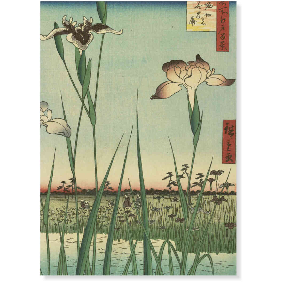 Horikiri Iris Garden, Utagawa Hiroshige, Greeting Card