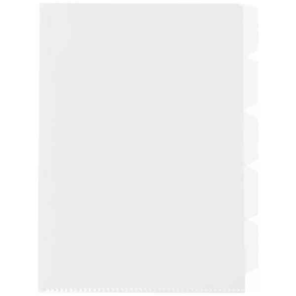 Docusmart 5 Fliksmapp Transparent