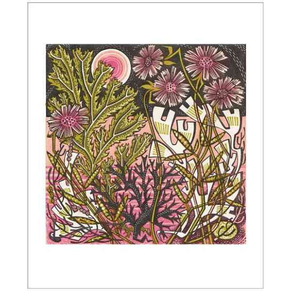 NC A.Lewin/Sea Pinks