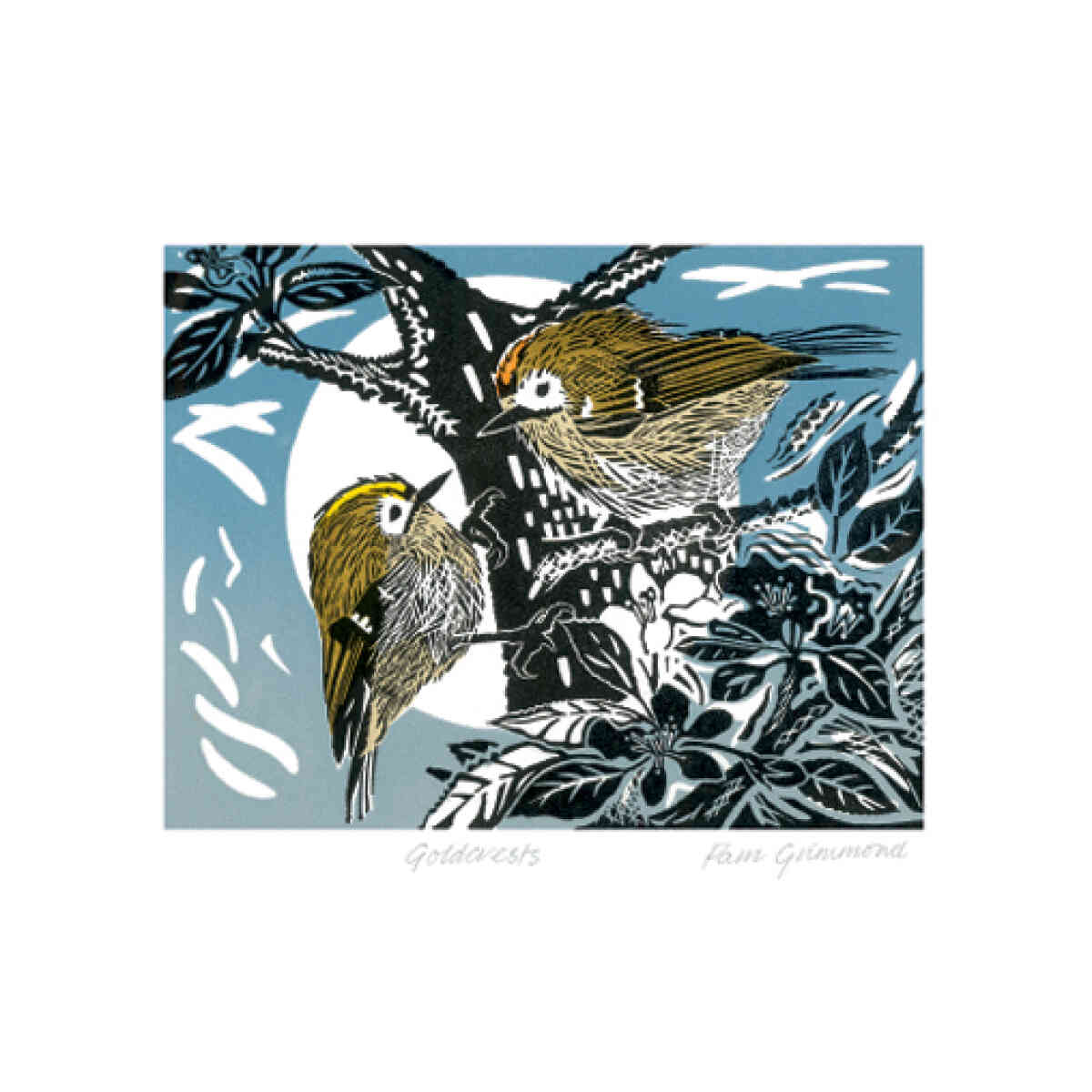 NC P.Grimmond/Gold Crests