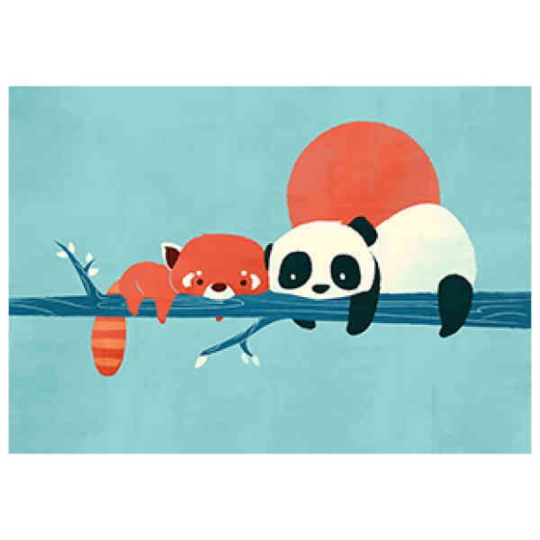 Panda and Raccoon, Greeting Card