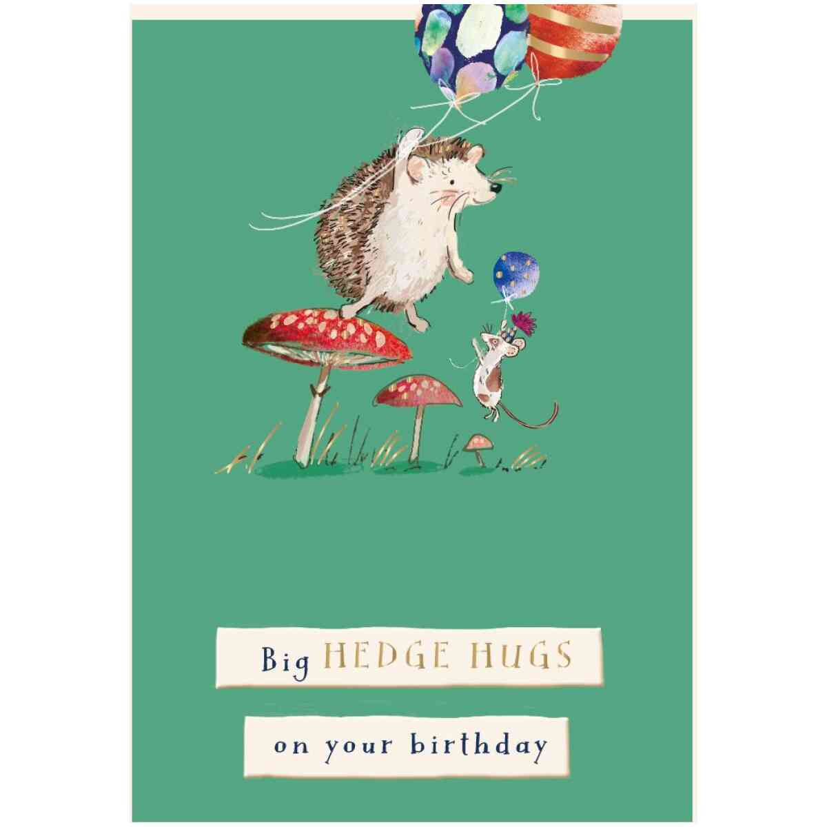 Hedge Hugs On Your Birthday, Wilf And Alfie, Greeting Card