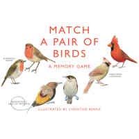 MatchaPairofBirds