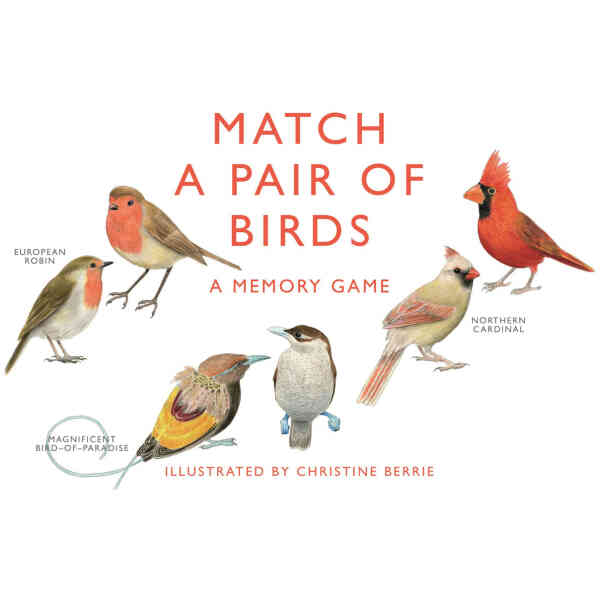 Match a Pair of Birds