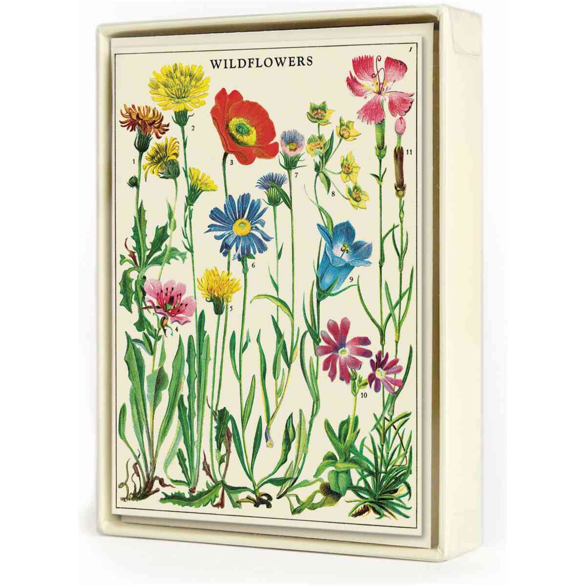 Boxed Notecards - Wildflowers