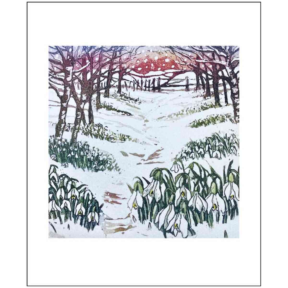 Snowdrop Wood by Sally Winter, Greeting Card