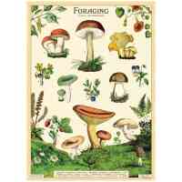 WRAP FORAGE