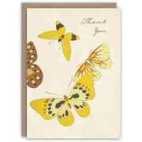 butterfly cards