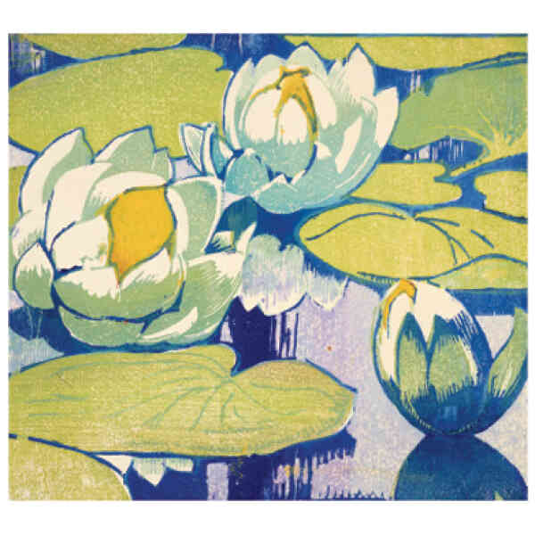 Water Lilies