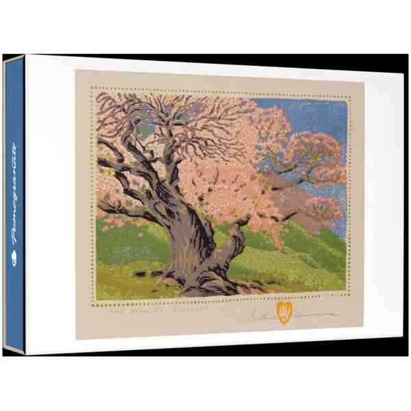 Gustave Baumann: The Bishop’s Apricot Small Boxed Cards