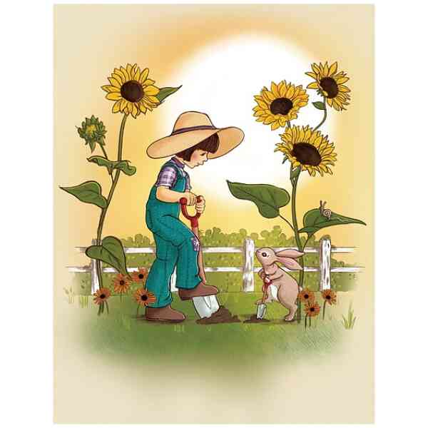 Harvesting Sunshine, Postcard