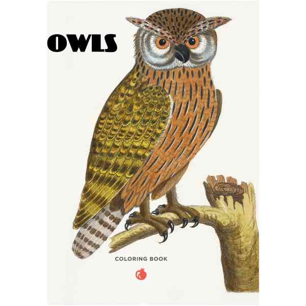 Owls Coloring Book