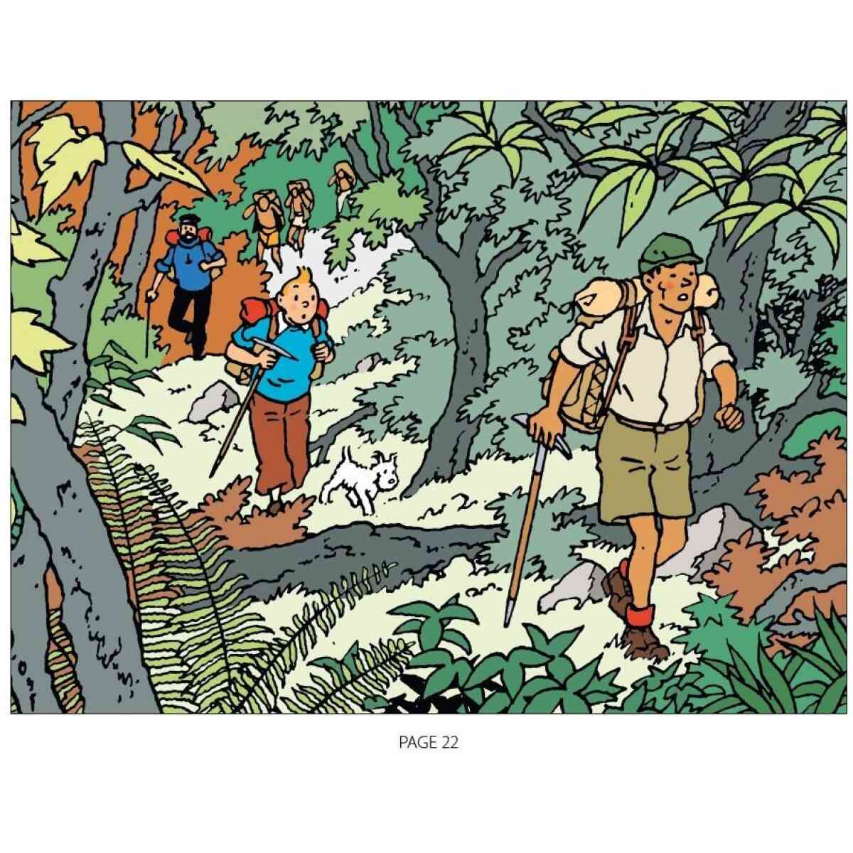 Coloring album - Tintin in Tibet - Bild 2