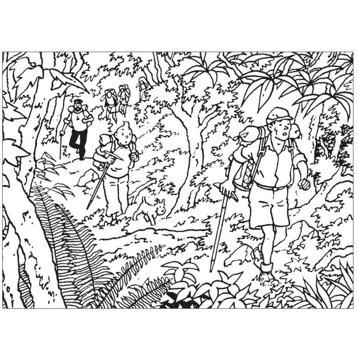 Coloring album - Tintin in Tibet - Bild 3