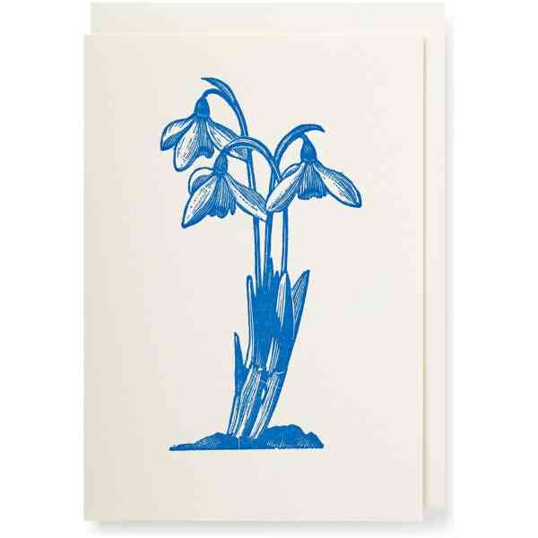 Snowdrop