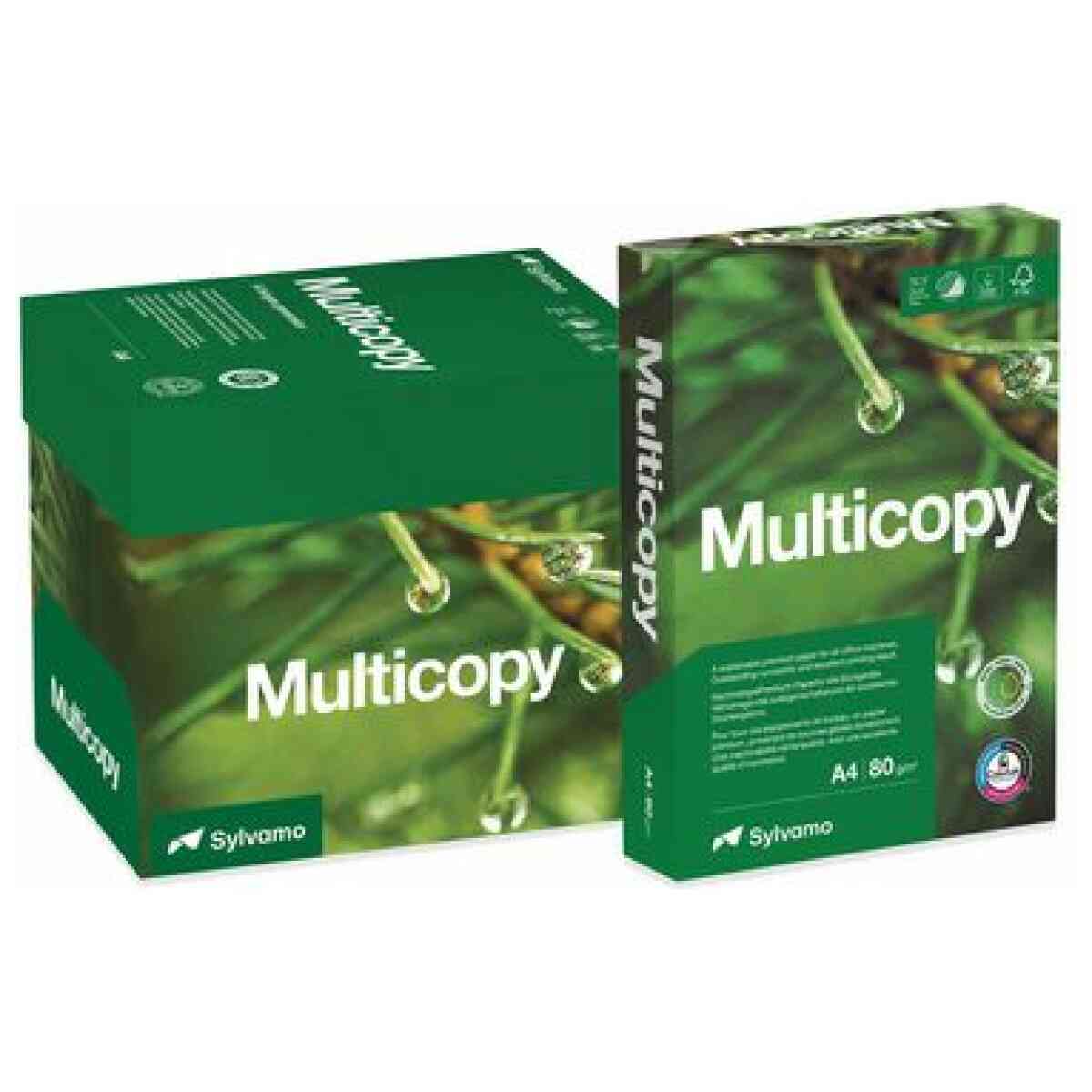 Kop.ppr MULTICOPY A4 80g oh 500/fp