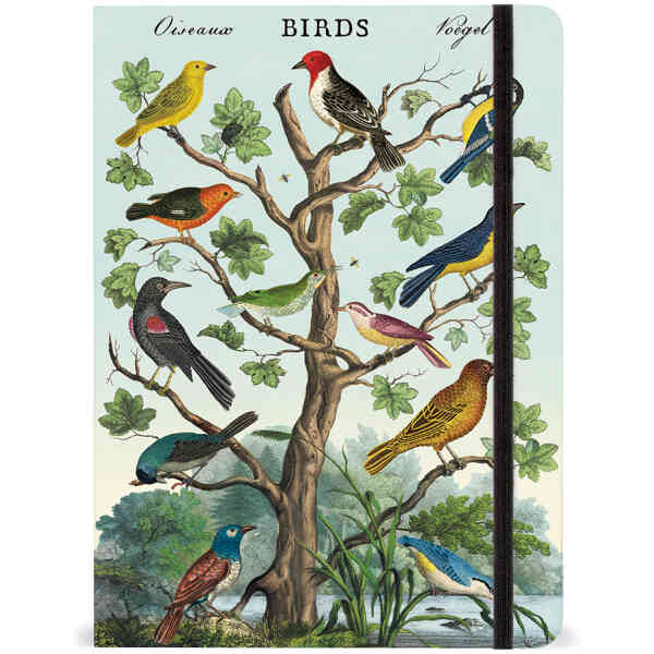 Birds Notebook