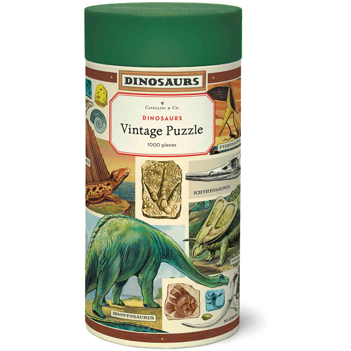 Dinosaurs 1,000 Piece Puzzle