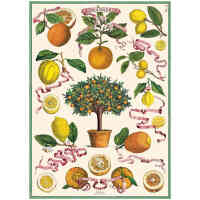 wrap orangerie l