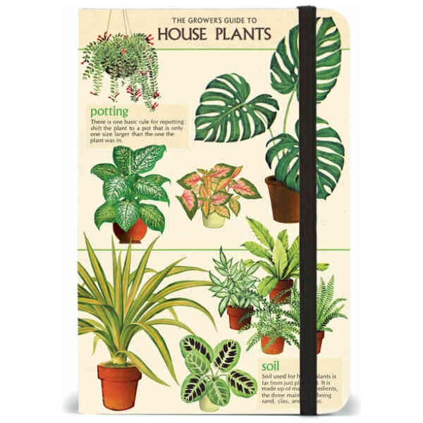 House Plants Notebook 15x10cm