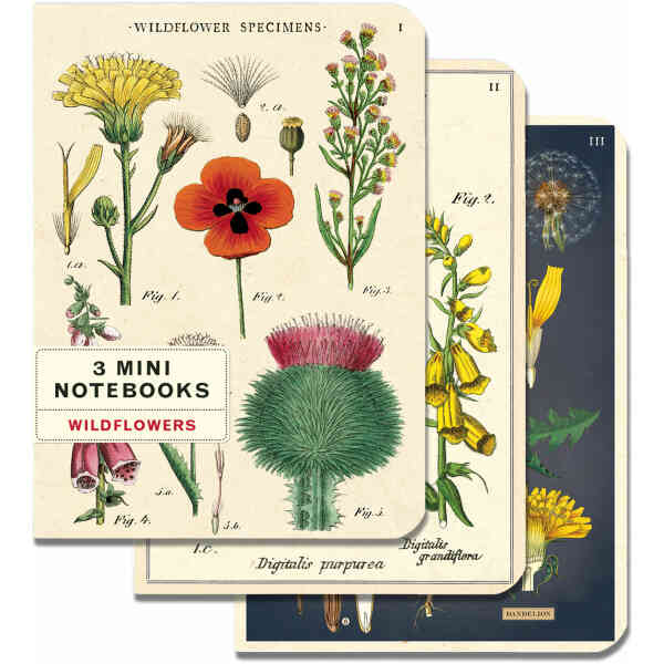 3 Mini Notebooks - Wildflowers