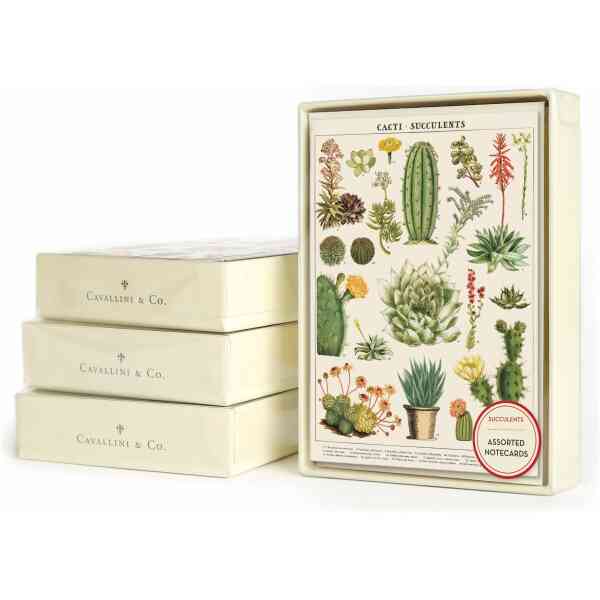 Boxed Notecards - Cacti . Succulents