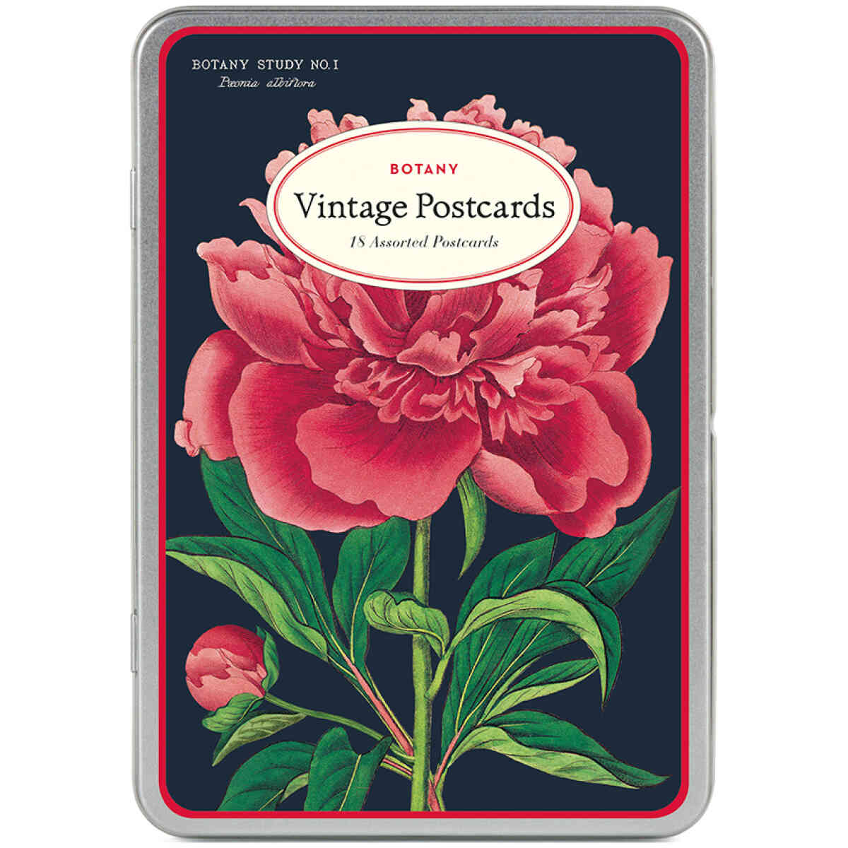 Botanica Vintage Postcards