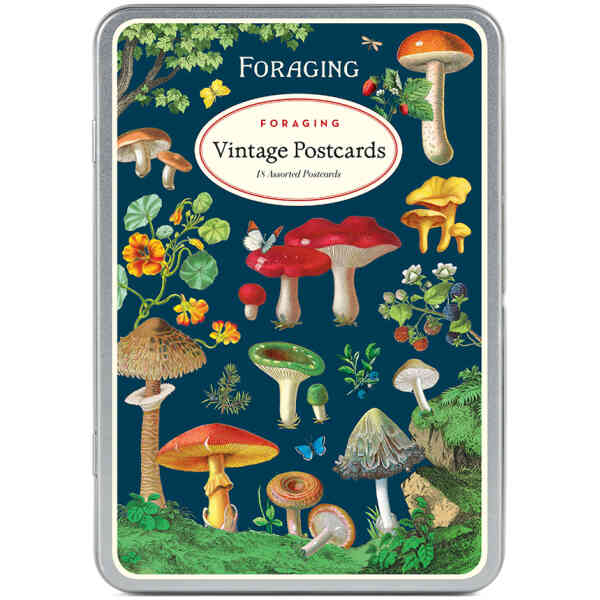 Foraging Vintage Postcards