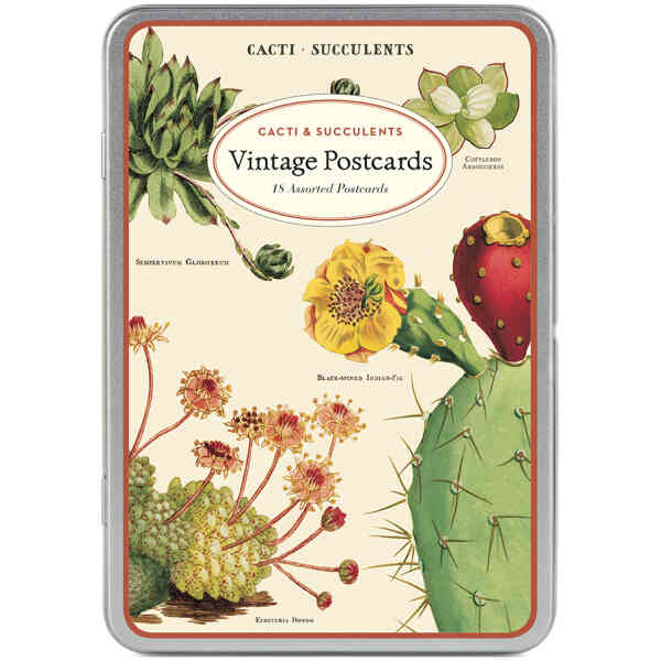 Succulents Vintage Postcards