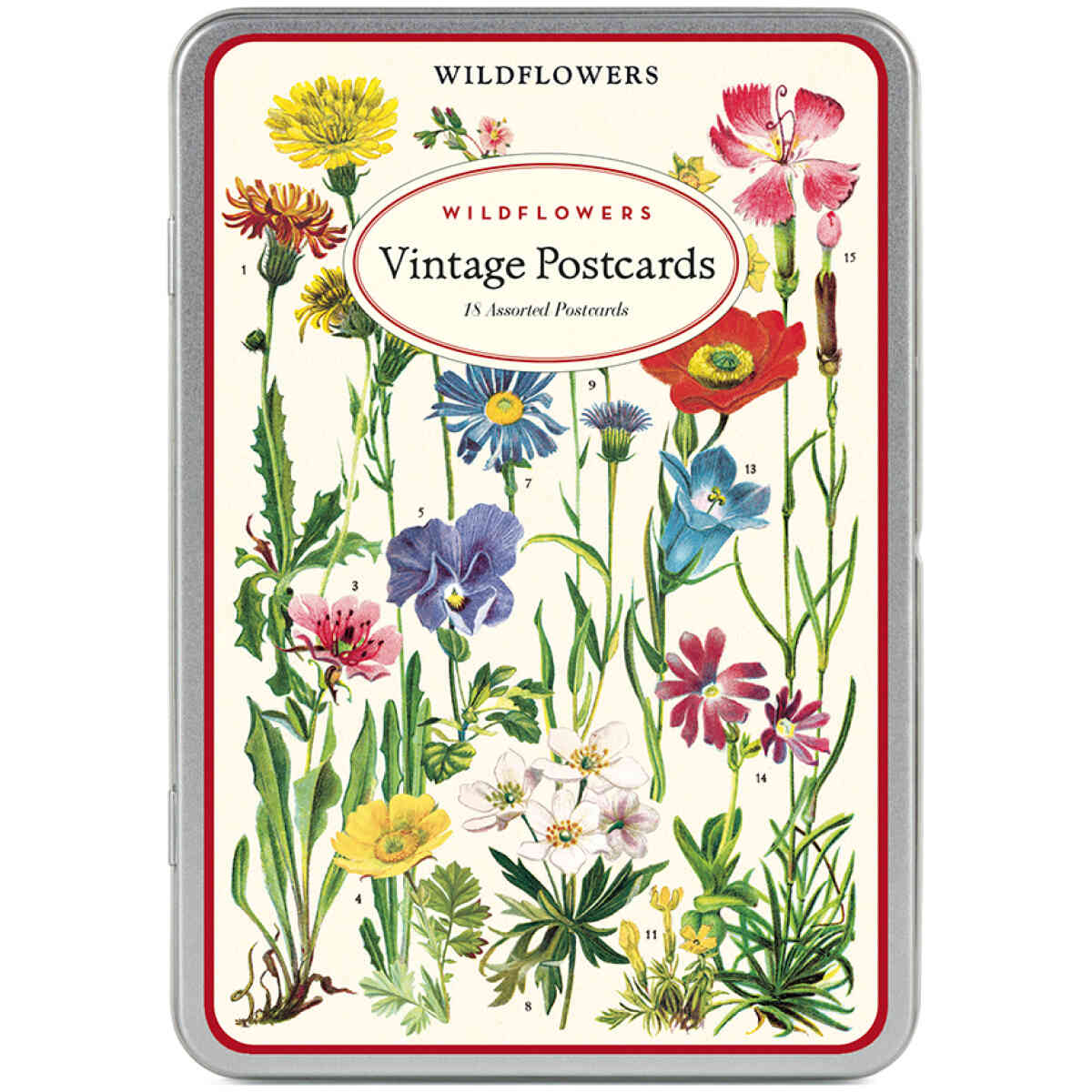 Wildflowers 2 Vintage Postcards