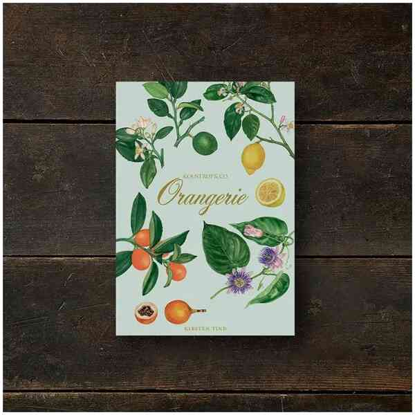 Cardfolder Orangerie - 8 cards w/envelopes