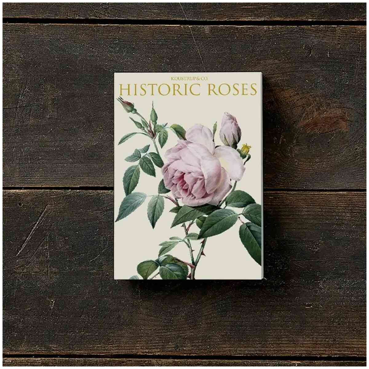 Cardfolder Historic Roses 8 Cards w/8 Envelopes